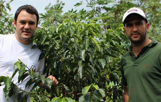 Coffee and Sustainability